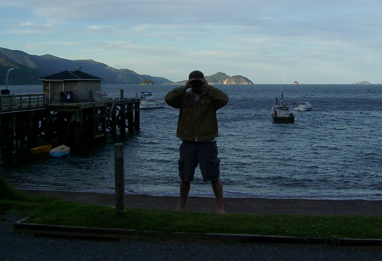 A picture of the lesser-known Stewart Island from French Pass in the Marlborough Sounds