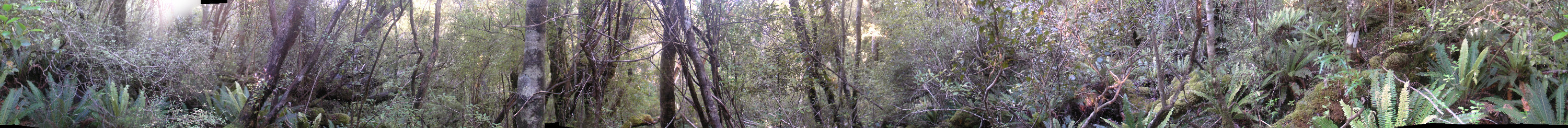 Panorama view from a point within 16m of 47°0′0″S 168°0′0″E