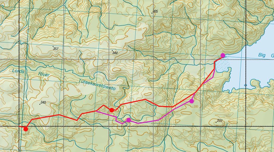 A close-up of Rakiura LINZ map